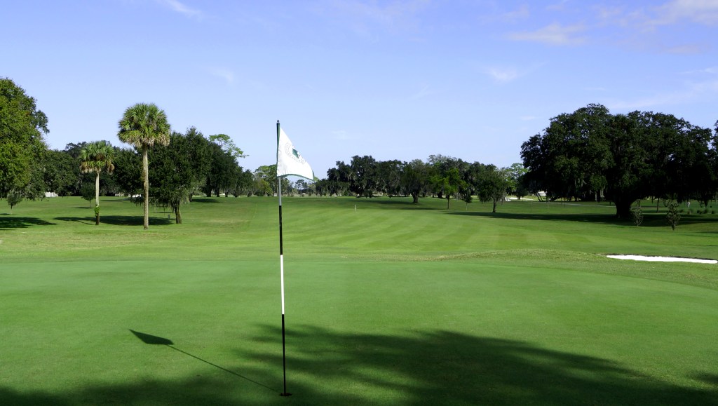 green with golf flag